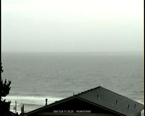 coq webcam|bar cams oregon coast.